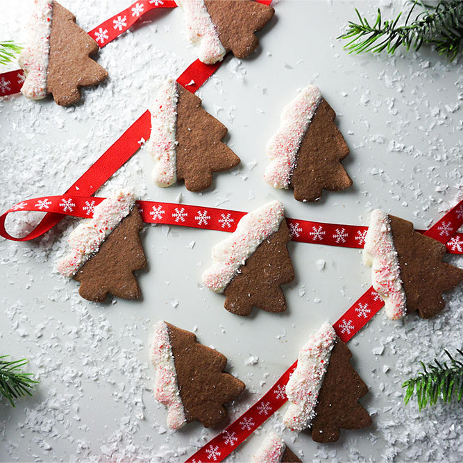 Chocolate Peppermint Christmas Tree shortbread cookies on a festive background with snow and pine needles