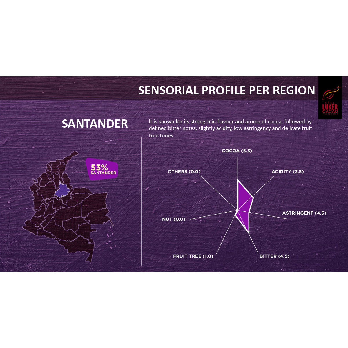 Santander 65% Dark Chocolate